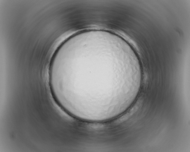 X0000113351239200910131233