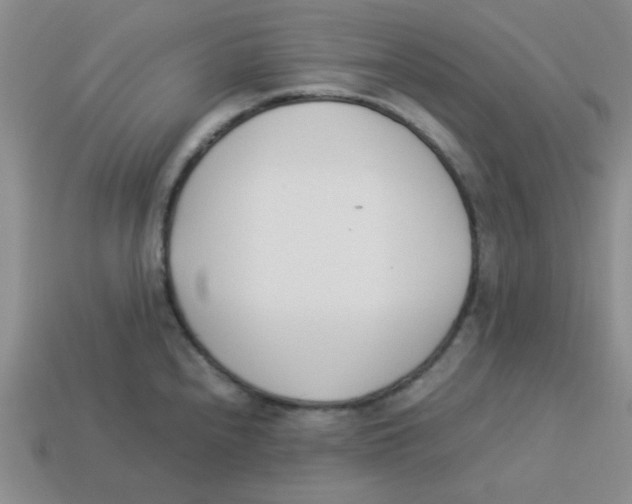 X0000113351240200910131233