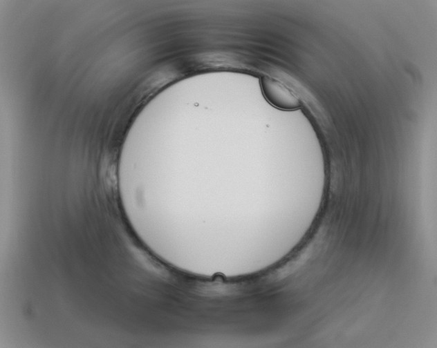 X0000113351241200910131233