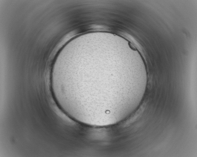 X0000113351243200910131233