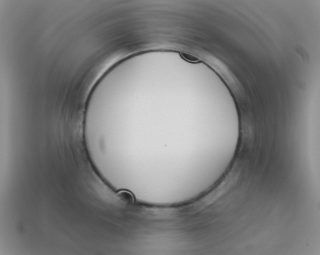 X0000113351244200910131233