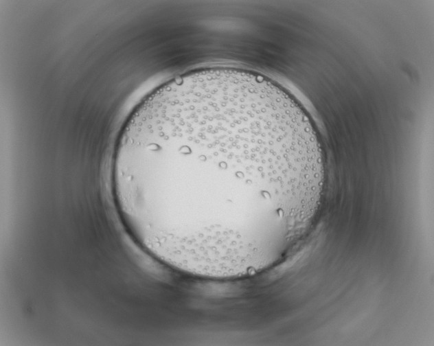 X0000113351245200910131233