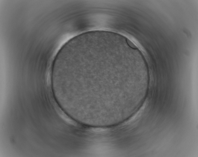 X0000113351246200910131233