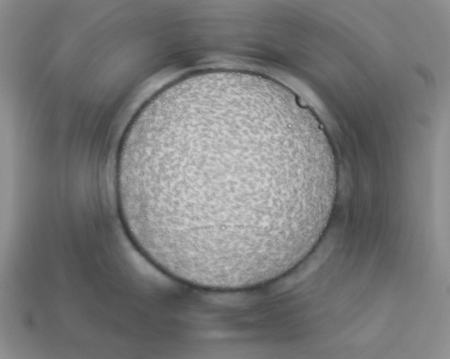 X0000113351247200910131233