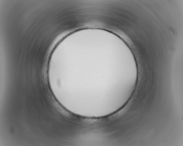 X0000113351248200910131233