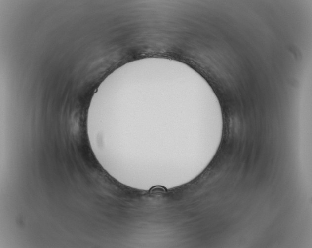 X0000113351250200910131232