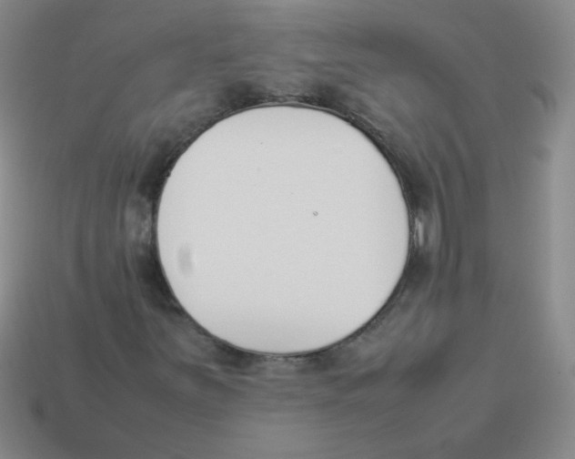 X0000113351251200910131232