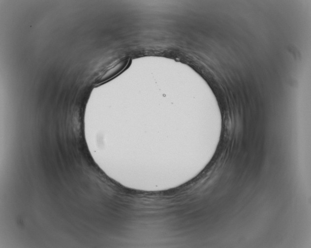 X0000113351252200910131232