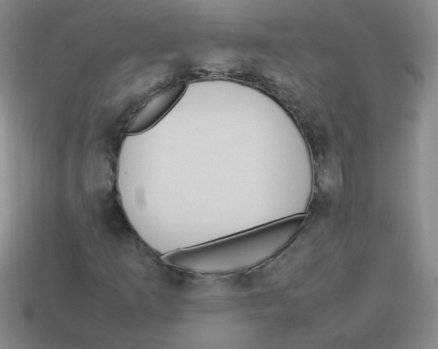 X0000113351253200910131232