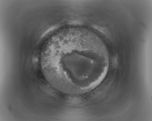 X0000113351254200910131232