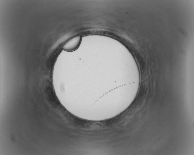 X0000113351255200910131232