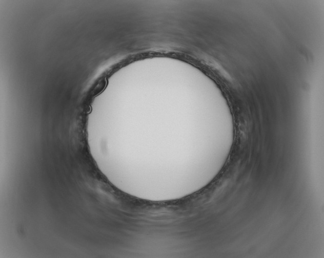 X0000113351256200910131232