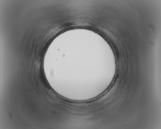 X0000113351257200910131232