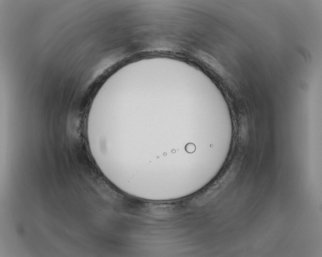 X0000113351258200910131232