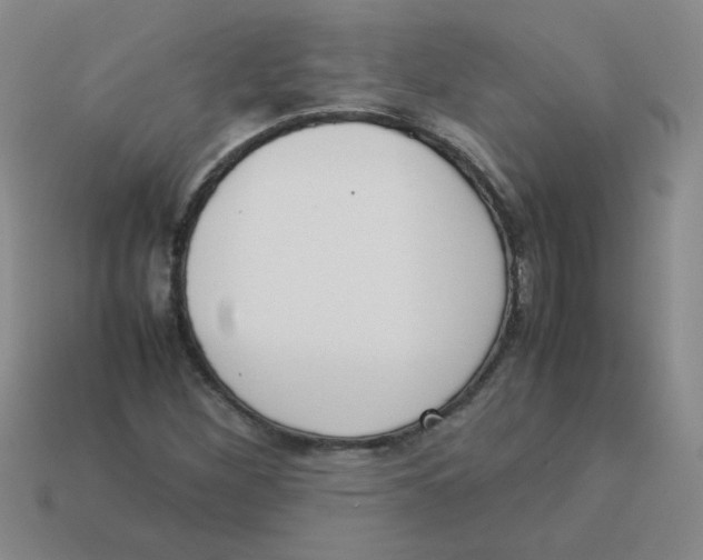 X0000113351260200910131232