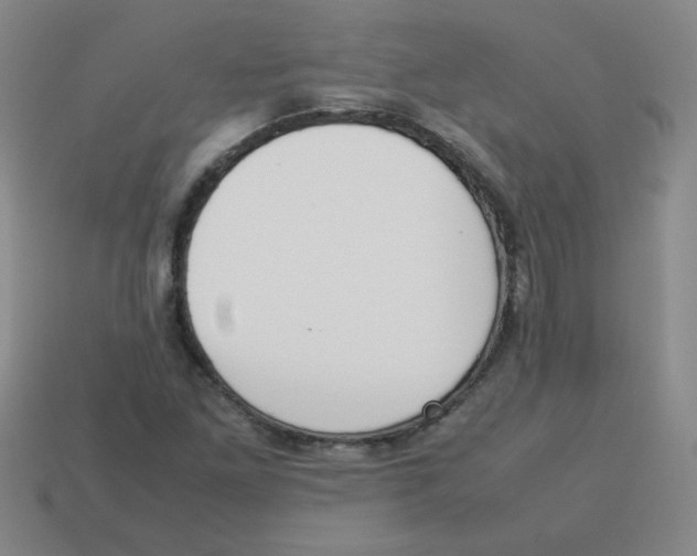 X0000113351261200910131232