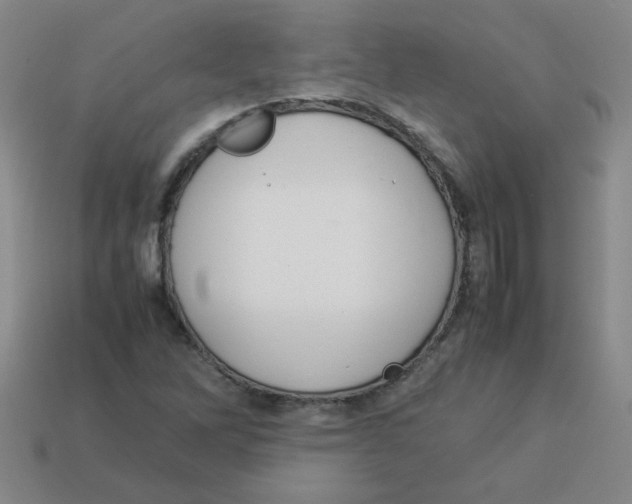 X0000113351262200910131232