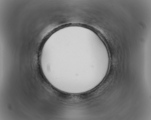 X0000113351263200910131232