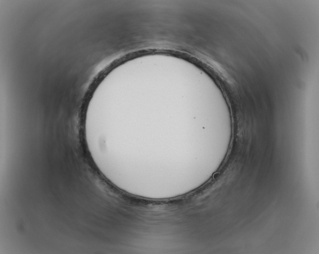 X0000113351264200910131232