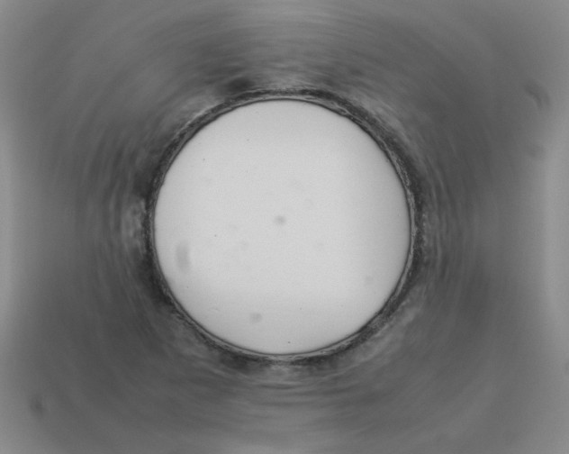 X0000113351265200910131232