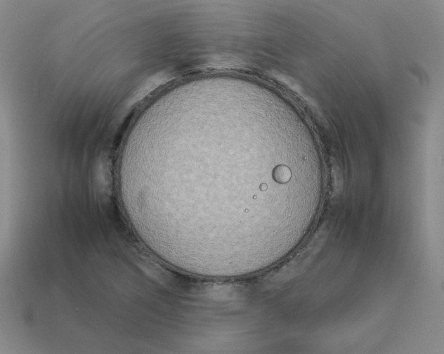 X0000113351266200910131232