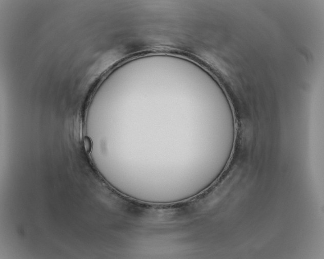 X0000113351269200910131232