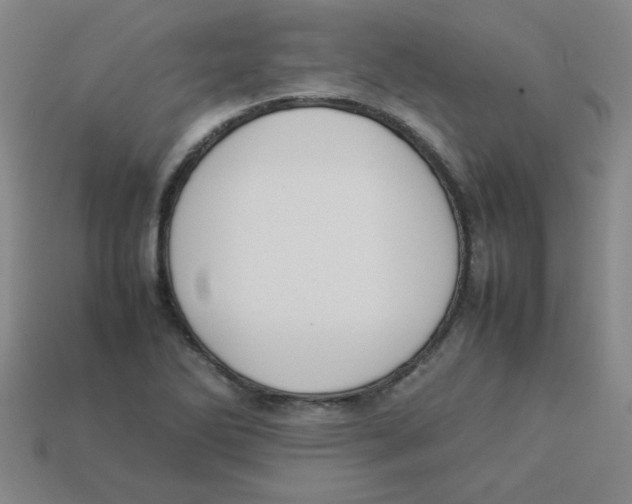 X0000113351270200910131232