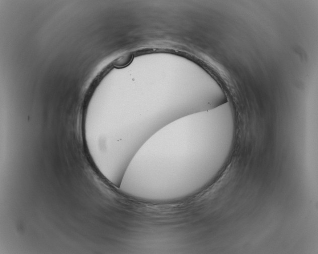 X0000113351272200910131232