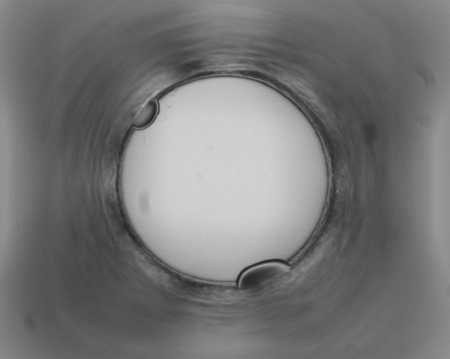 X0000113351273200910131232