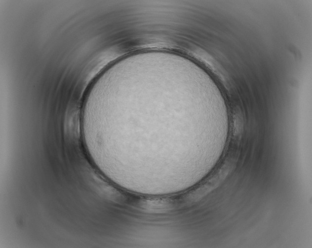 X0000113351274200910131232