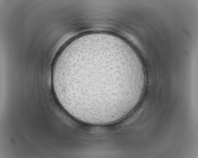 X0000113351275200910131232