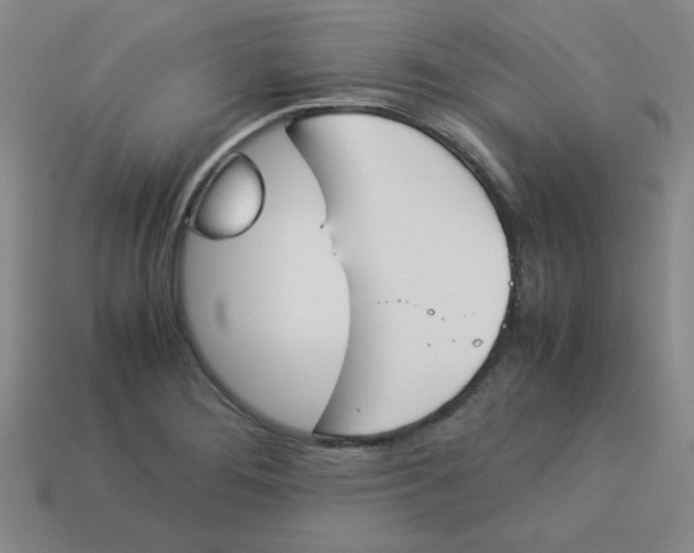 X0000113351276200910131232