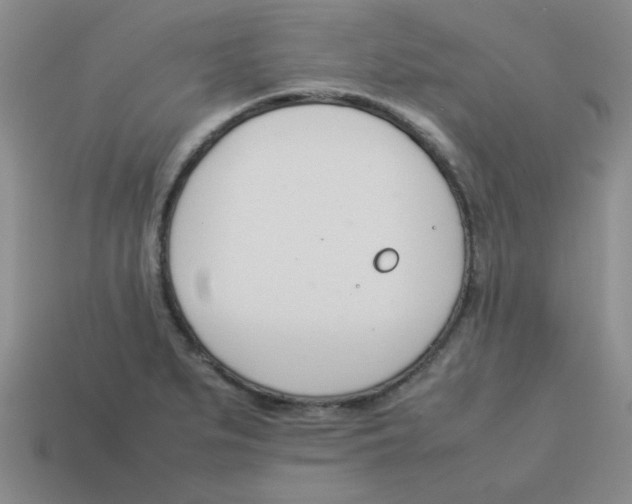 X0000113351279200910131232