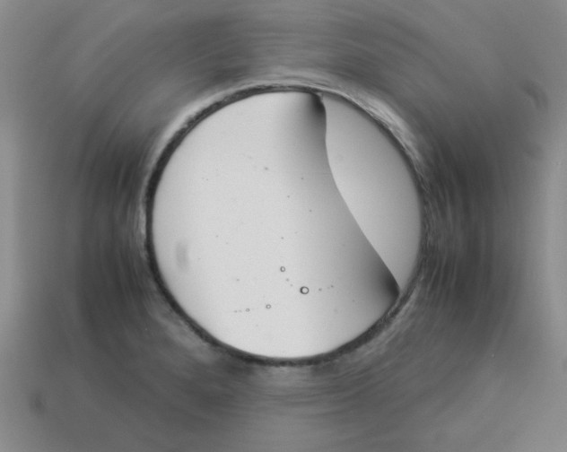 X0000113351280200910131232