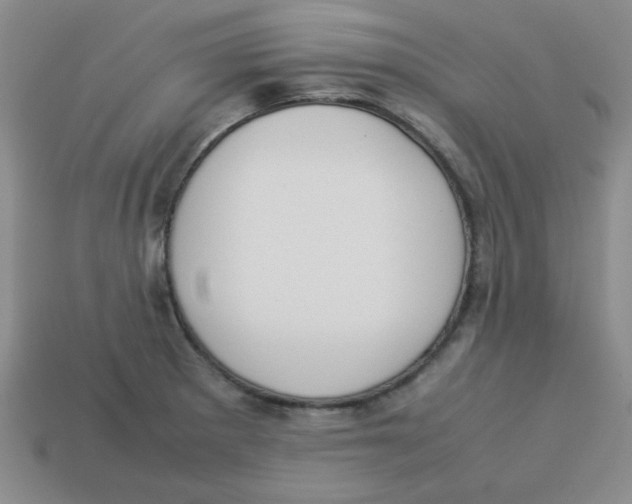 X0000113351281200910131232