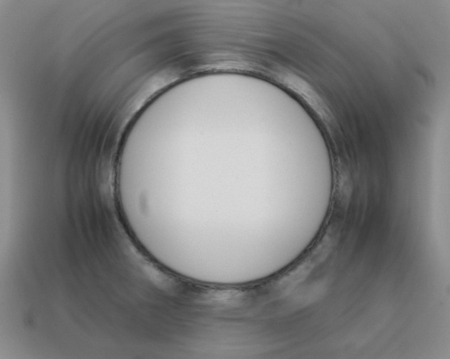 X0000113351282200910131232