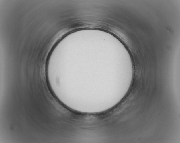 X0000113351283200910131232