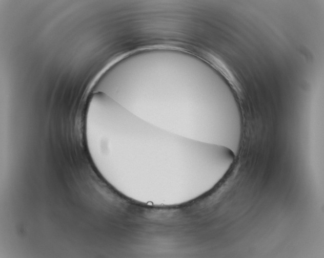 X0000113351284200910131232