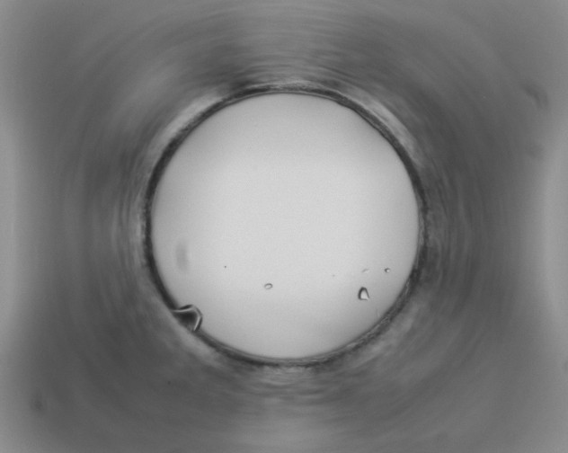 X0000113351285200910131232