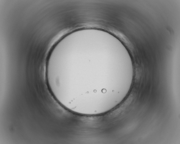 X0000113351286200910131232