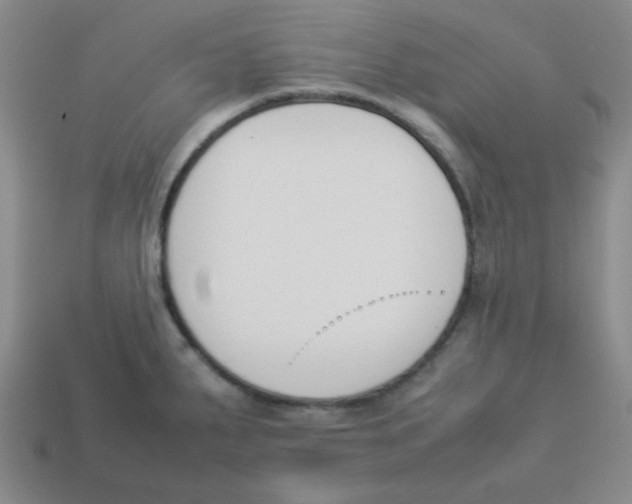 X0000113351287200910131232