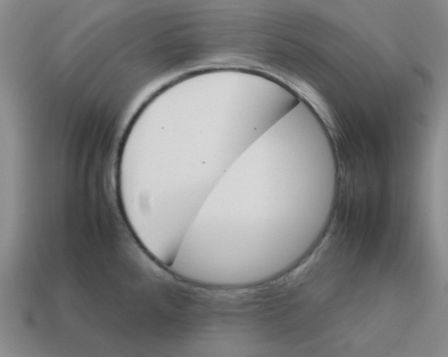 X0000113351288200910131232