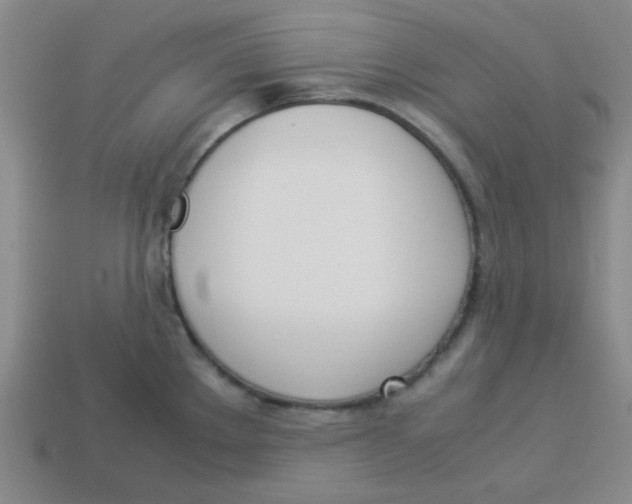 X0000113351289200910131232