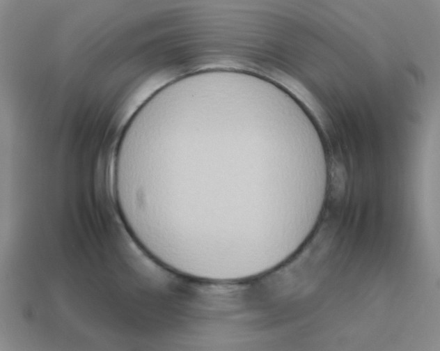 X0000113351290200910131232