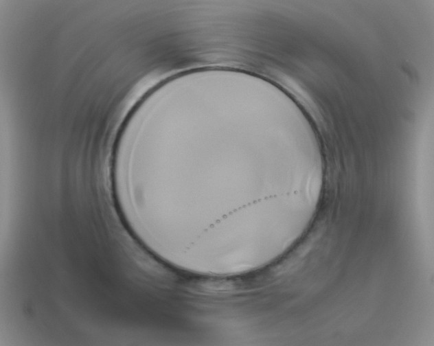 X0000113351291200910131232