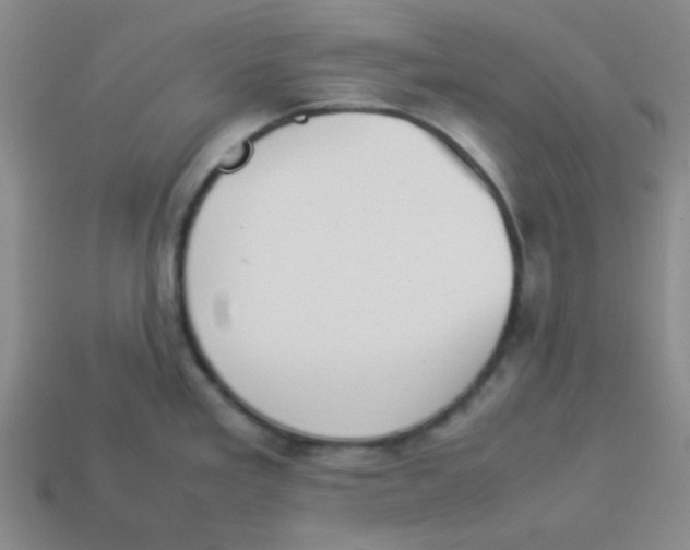 X0000113351293200910131232