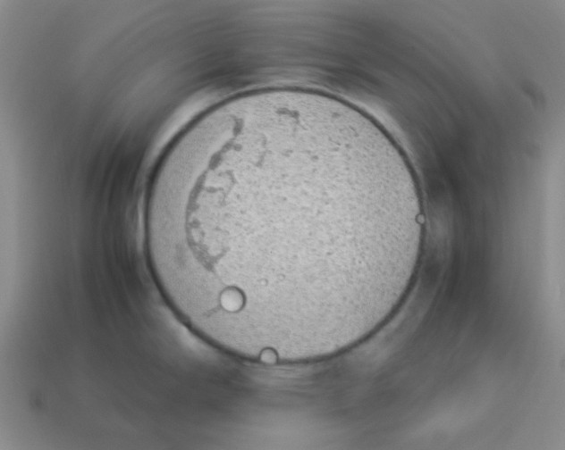 X0000113351294200910131232