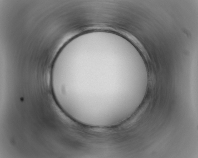 X0000113351295200910131232