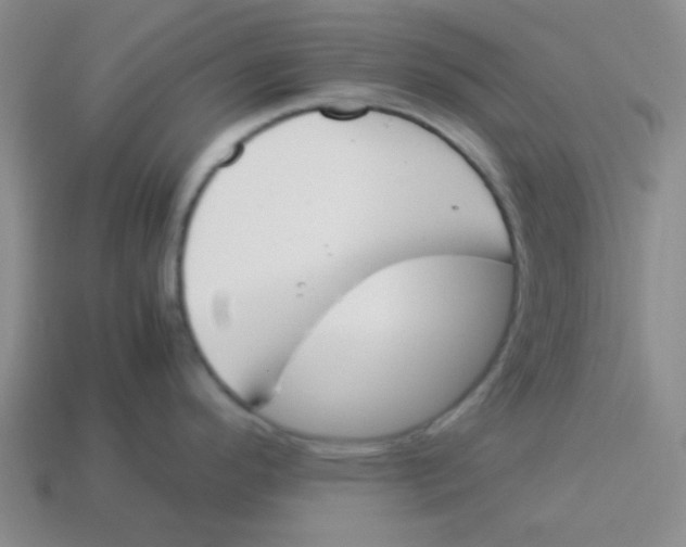 X0000113351296200910131232