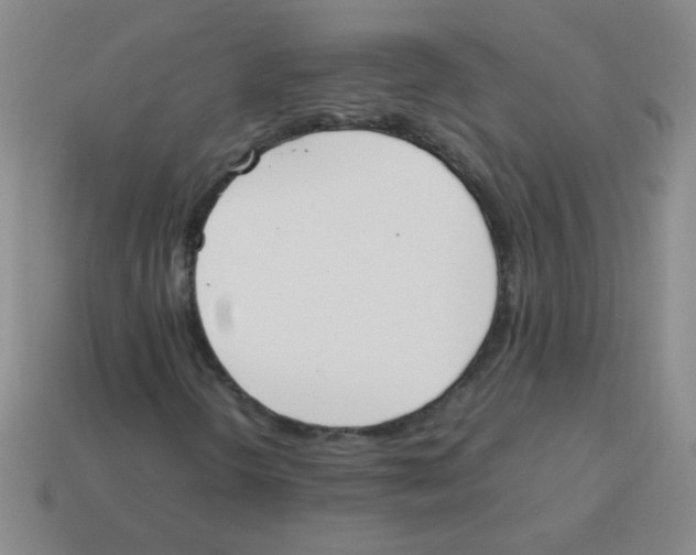 X0000113351298200910131231